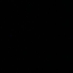 Meet your Posher, Dalton